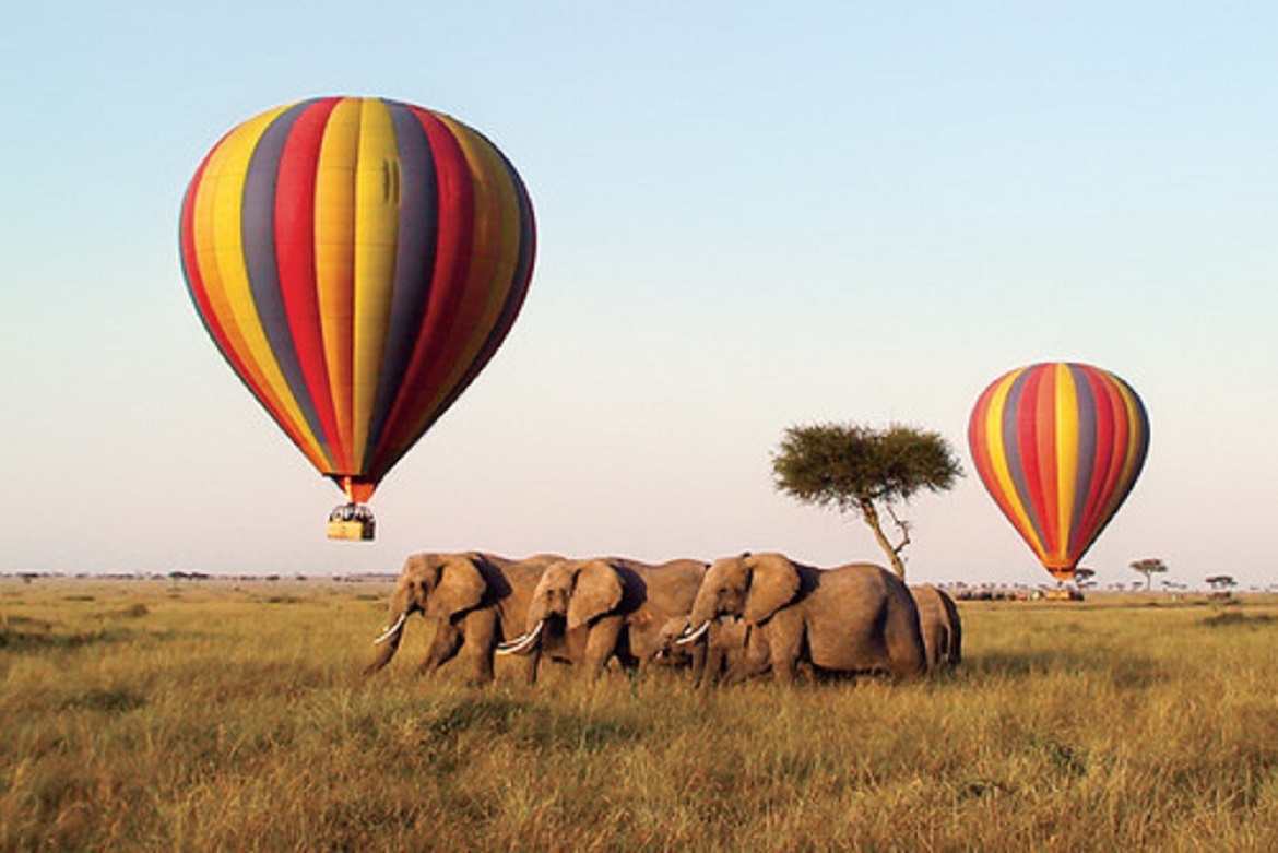 Projects hot air baloon 1774266369