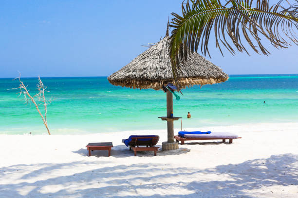 turtle beach. watamu, kenya.